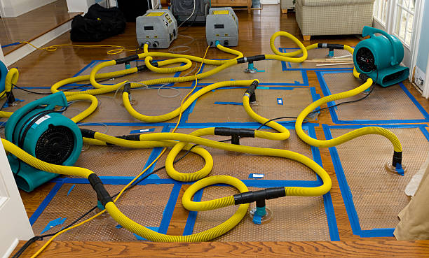 Professional Basement Flood Cleanup technician working in South Amboy, NJ